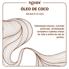 Creme Novex Oleo De Coco Refil 300g Embelleze