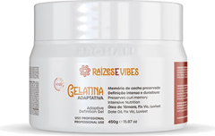 Gelatina De Defição Intensa Prohall Raizes Vibes Adaptativo 450g