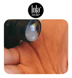 4X - lola Midia Kit